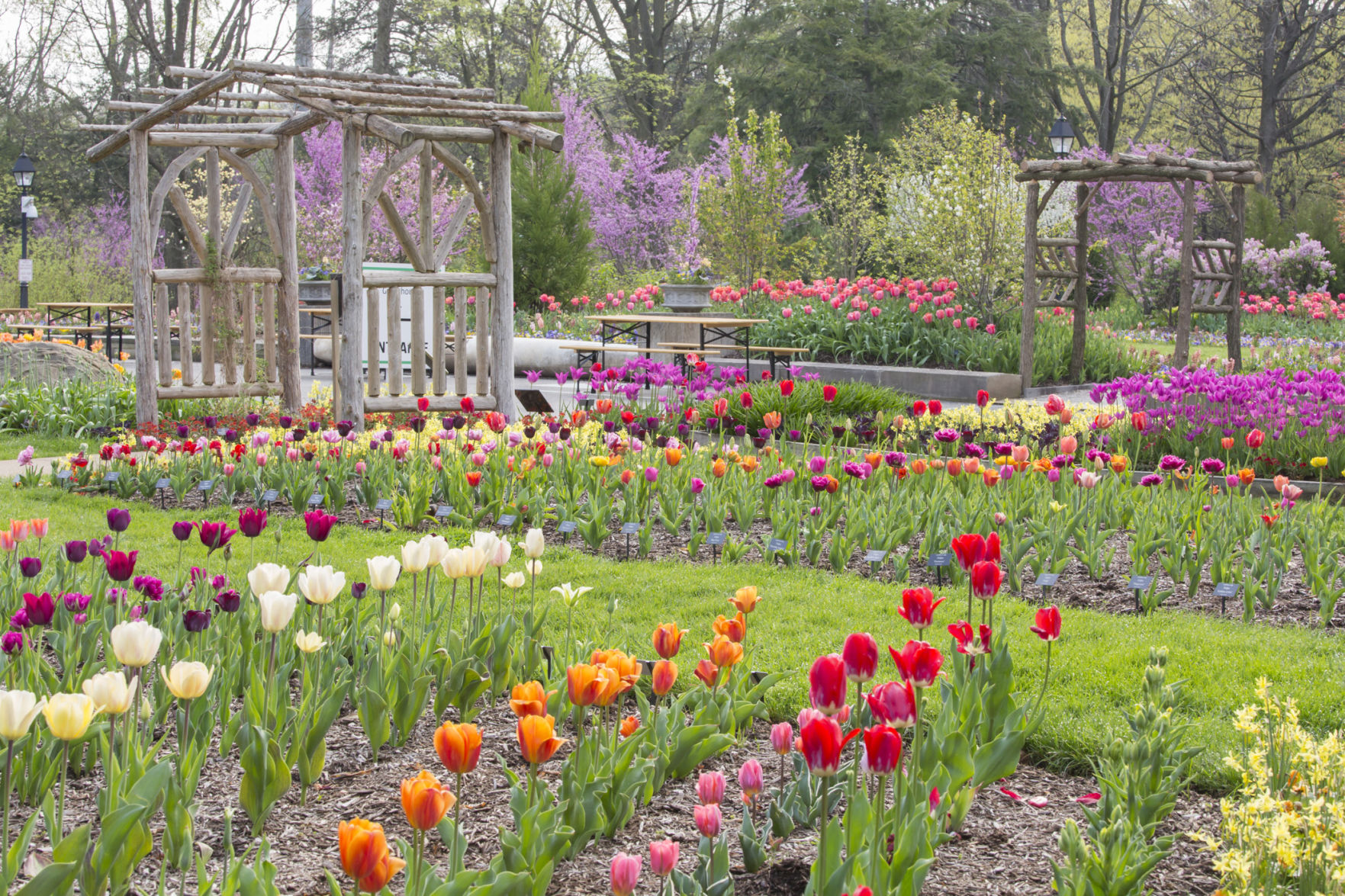 Spring Blooms Celebration of Color April 2017 April Grounds and Gardens
